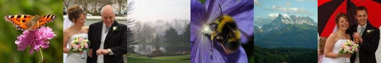 david ebling photography